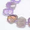 Natural Ametrine Beads Strands G-P322-08H-3