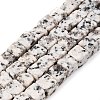 Natural White Sesame Jasper Beads Strands G-T139-6x6-33A-4