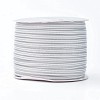 Nylon Ribbon SRIB-I004-01A-1
