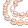 Natural Cultured Freshwater Pearl Beads Strands PEAR-N014-05J-5