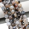 Natural Dendritic Agate Beads Strands G-A248-A07-06-1