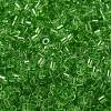 Transparent Glass Seed Beads SEED-S042-21B-01-3