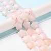 Natural Rose Quartz Beads Strands G-NH0005-026-2