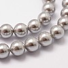 Shell Pearl Beads Strands X-BSHE-L026-05-6mm-3