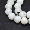 Natural Rainbow Moonstone Beads Strands G-I249-B04-01-3