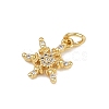 Brass Micro Pave Cubic Zirconia Charms KK-H077-02G-04-2