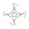 Stainless Steel Earring Hooks STAS-TA0004-02A-2
