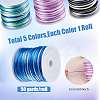 5 Rolls 5 Colors Segment Dyed Nylon Rattail Satin Cords NWIR-FH0001-04A-2
