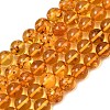 Natural Amber Beads Strands G-L095-B01-8mm-02-2