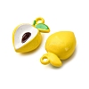 Baking Paint Alloy Pendants FIND-G097-04E-2