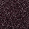 TOHO 11/0 Round Beads X-SEED-TR11-0006BF-2