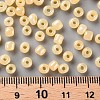 6/0 Glass Seed Beads SEED-US0003-4mm-142-3