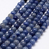 Dyed & Heated Natural Blue Aventurine Beads Strands LS-G-F380-10mm-5