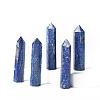 Tower Natural Lapis Lazuli Home Display Decoration PW-WG20981-30-1