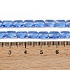 Transparent Glass Beads Strands GLAA-Z018-C18-4
