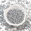 Baking Paint Glass Seed Beads SEED-A033-04L-2