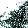 TOHO Round Seed Beads SEED-JPTR11-0118-1