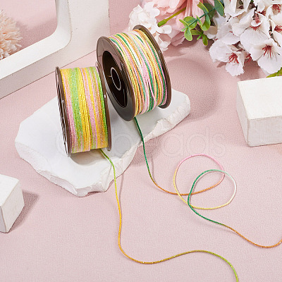 2 Rolls 2 Colors Segment Dyed Round Polyester Twisted Cords OCOR-TA0003-65A-1