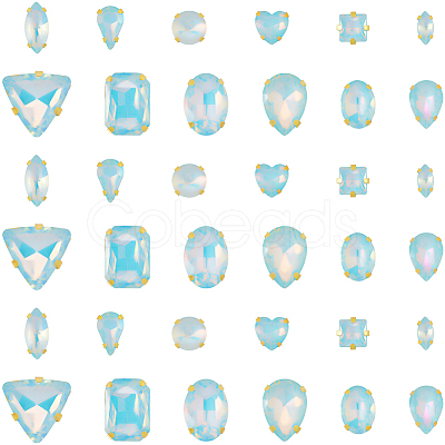 Glass Steel Claw Sew on Rhinestone FIND-WH20040-07G-02-1