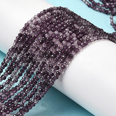 Transparent Glass Beads Strands GLAA-H027-01A-1
