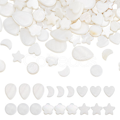 120Pcs 6 Styles Natural Shell Beads SHEL-AR0001-16-1