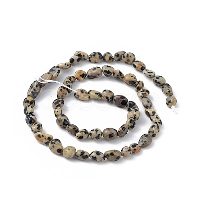 Natural Dalmatian Jasper Beads Strands G-B039-03B-1