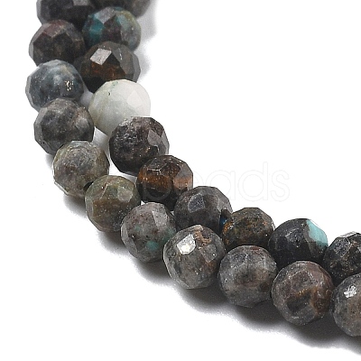 Natural HuBei Turquoise Beads Strands LS-G-G140-A05-05-1