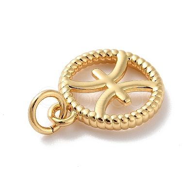 Brass Charms KK-A160-20G-12-1