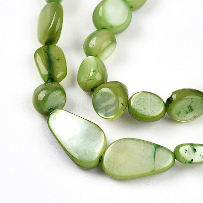 Natural White Shell Beads Strands SHEL-N036-21D-1