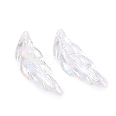 Transparent Plastic Pendants KY-Q005-01A-1