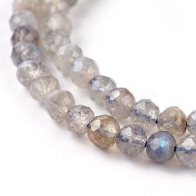 Natural Labradorite Beads Strands G-O176-04A-1