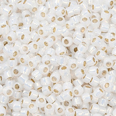 TOHO 8/0 Round Beads X-SEED-TR08-2100-1