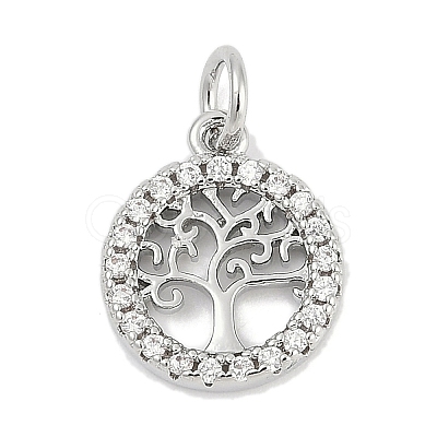 Brass Micro Pave Clear Cubic Zirconia Charms KK-G522-46P-1