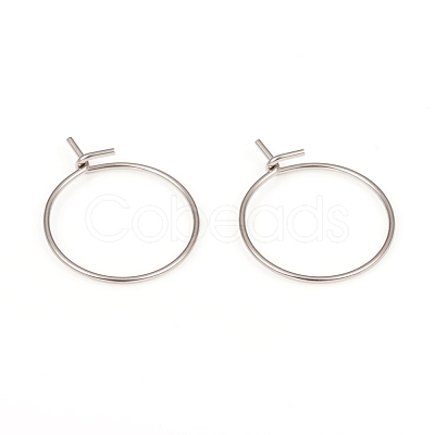 316L Surgical Stainless Steel Hoop Earring Findings STAS-G229-06P-1