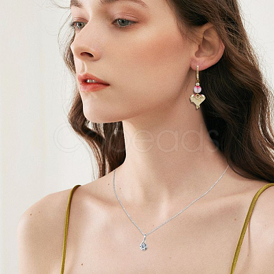 20Pcs Brass Leverback Earring Findings KK-BBC0023-86-1