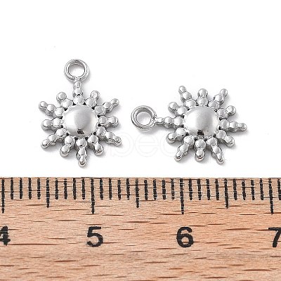 304 Stainless Steel Charms STAS-Z121-12P-1