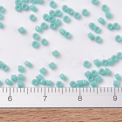 MIYUKI Delica Beads SEED-J020-DB1136-1