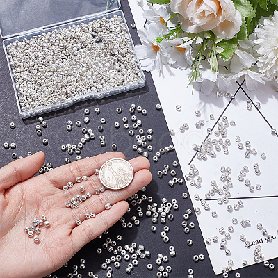100G Glass Seed Beads SEED-SP0001-12B-02-1