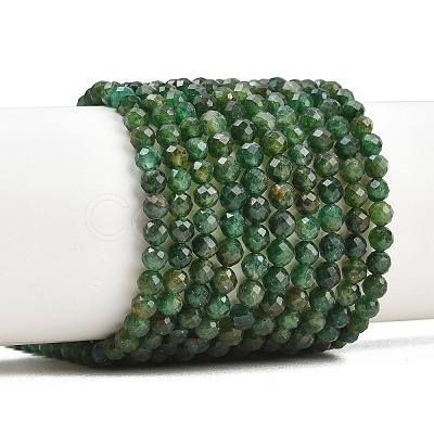 Natural Fuchsite Beads Strands G-RM250101-C33-1