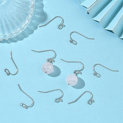 SHEGRACE Brass Earring Hooks XGR0137P-155P-1