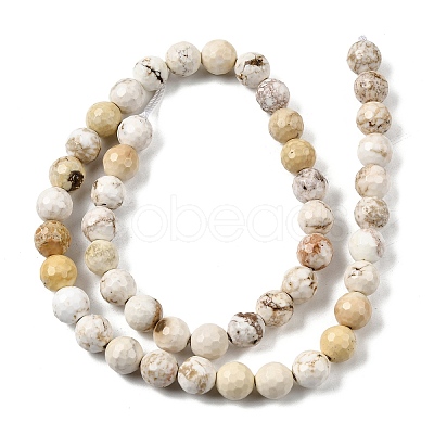 Natural Magnesite Beads Strands G-P598-E-8mm-03-1