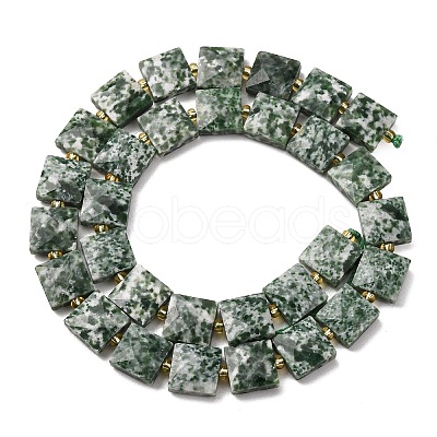 Natural Green Spot Jasper Beads Strands G-F839-A23-01-1