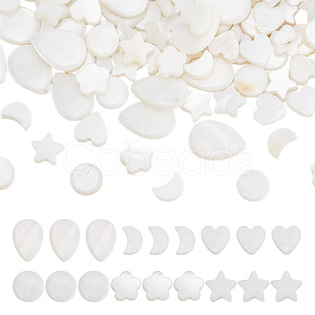 120Pcs 6 Styles Natural Shell Beads SHEL-AR0001-16-1