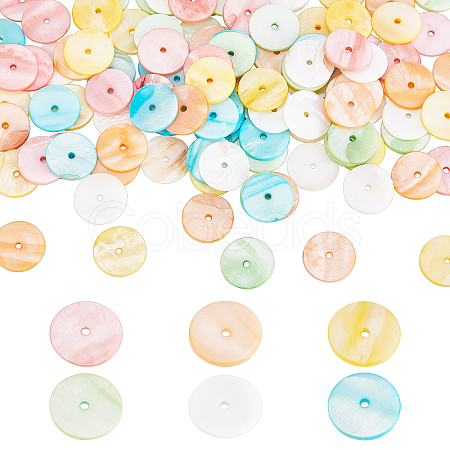 120Pcs 6 Colors Dyed Natural Shell Beads SHEL-PH0001-23-1