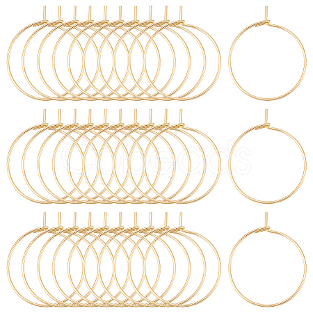 30Pcs 316 Surgical Stainless Steel Hoop Earring Findings STAS-LP0001-01-1