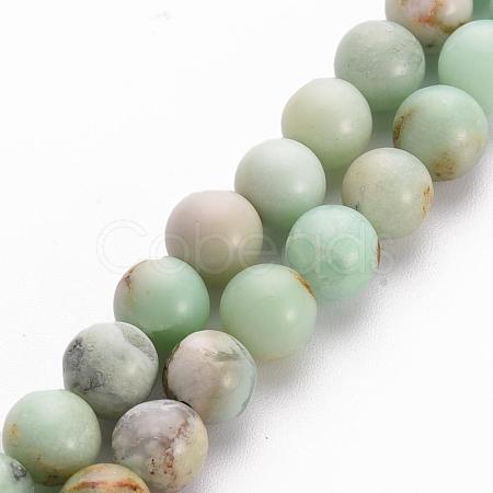 Natural Chrysoprase Beads Strands X-G-S333-6mm-037-1