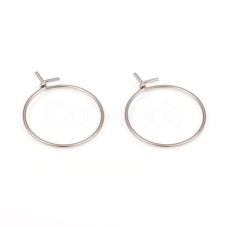 316L Surgical Stainless Steel Hoop Earring Findings STAS-G229-06P-1