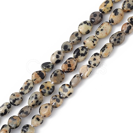 Natural Dalmatian Jasper Beads Strands G-B039-03B-1