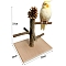 Wood Bird Playground with Pinecone, Large Parrot Playstand, Bird Perch Stand, Bird Gym Playground Playpen for Cockatiel Parakeet Parrot, Coconut Brown, 200x200x220mm