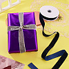 10 Yards Polyester Velvet Ribbon OCOR-TA0004-13F-7